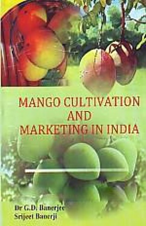 Mango Cultivation and Marketing in India