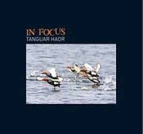 In Focus: Tanguar Haor