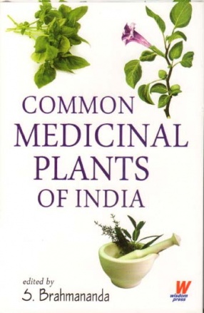 Common Medicinal Plants of India: A Complete Guide to Home Remedies