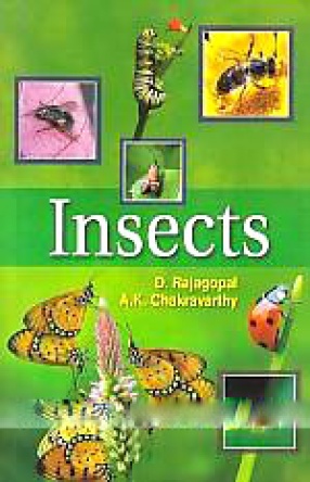 Insects