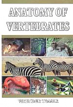 Anatomy of Vertebrates