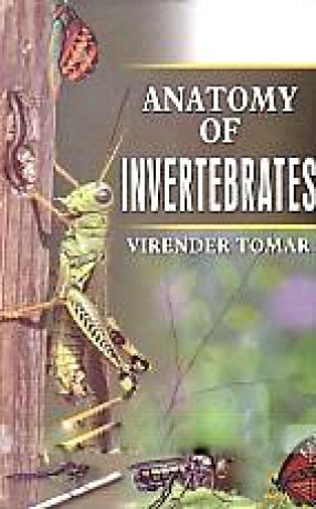 Anatomy of Invertebrates