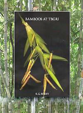 Bamboos At TBGRI