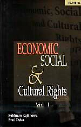 Economic, Social and Cultural Rights (In 2 Volumes)