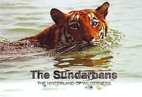 The Sundarbans: The Hinterland of Wilderness