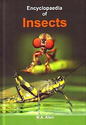 Encyclopaedia of Insects ( In 3 Volumes)