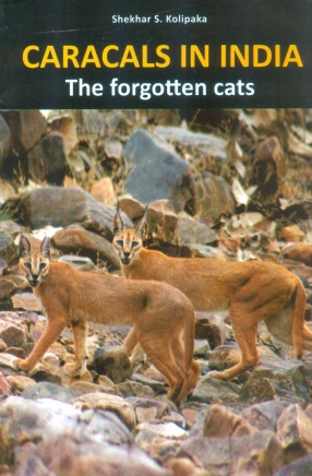 Caracals in India: The Forgotten Cats