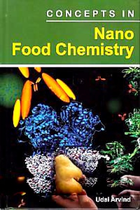 Concepts in Nano Food Chemistry