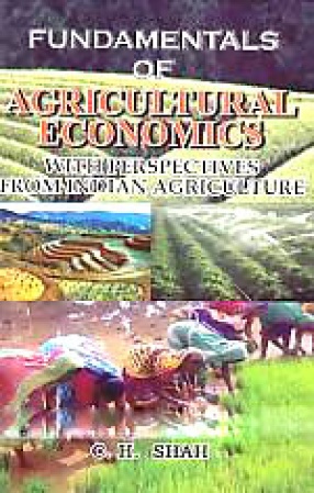 Fundamentals of Agricultural Economics: With Perspectives from Indian Agriculture