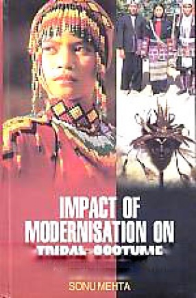 Impact of Modernisation on Tribal Costume