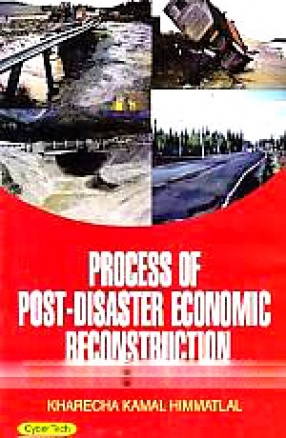 Process of Post-Disaster Economic Reconstruction (In 2 Volumes)