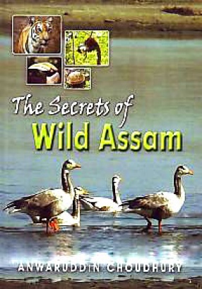 The Secrets of Wild Assam