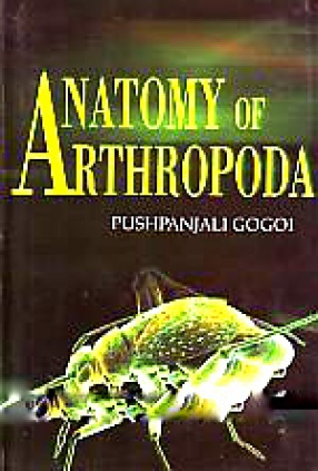 Anatomy of Arthropoda