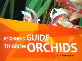 Beginners Guide to Grow Orchids