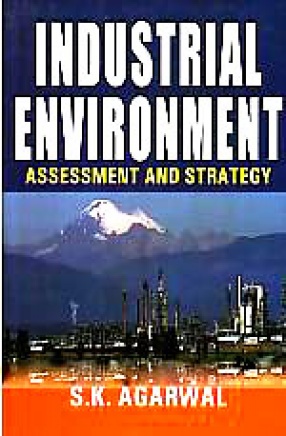 Industrial Environment: Assessment and Strategy