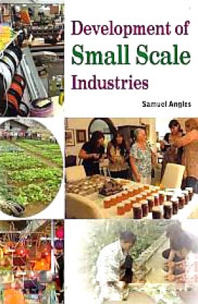 Development of Small Scale Industries