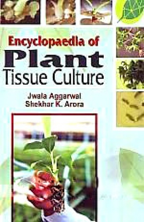 Encyclopaedia of Plant Tissue Culture (In 5 Volumes)