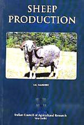 Sheep Production