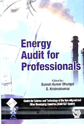 Energy Audit for Professionals