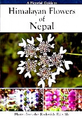 A Pictorial Guide to Himalayan Flowers of Nepal in their Natural Environment