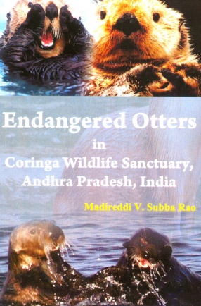 Endangered Otters in Coringa Wildlife Sanctury, Andhra Pradesh, India