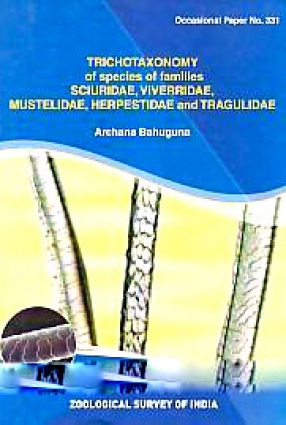 Trichotaxonomy of Species of the Families Sciuridae, Viverridae, Mustelidae, Herpestidae and Tragulidae