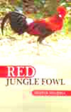 Red Jungle Fowl