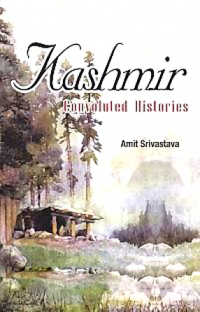 Kashmir: Convoluted Histories