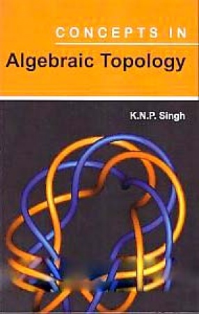 Concepts in Algebraic Topology
