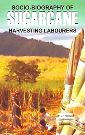 Socio-Biography of Sugarcane Harvesting Labourers