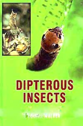 Dipterous Insects