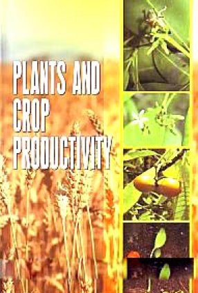 Plants and Crop Productivity