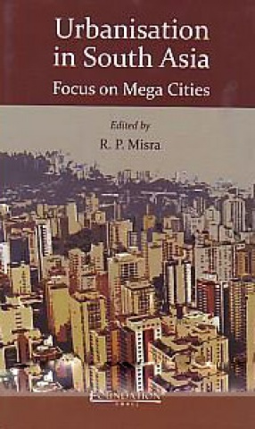 Urbanisation in South Asia: Focus on Mega Cities