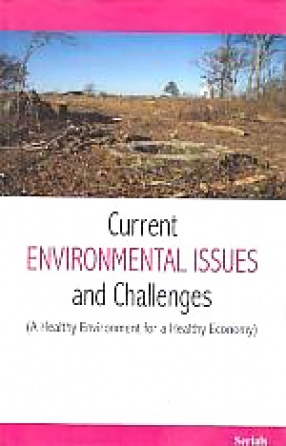 Current Environmental Issues and Challenges: A Healthy Environment for a Healthy Economy