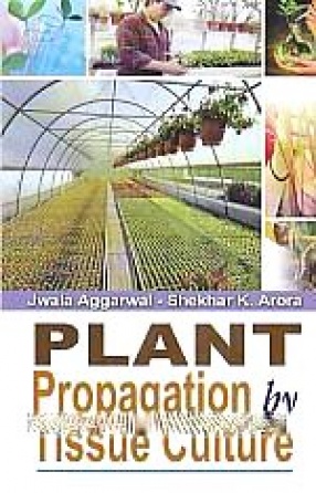 Plant Propagation by Tissue Culture