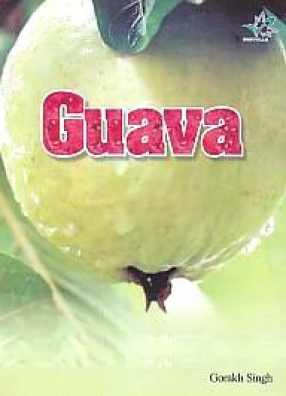 Guava