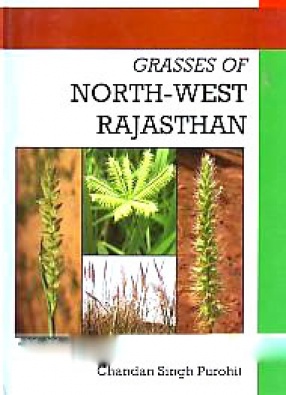 Grasses of North-West Rajasthan