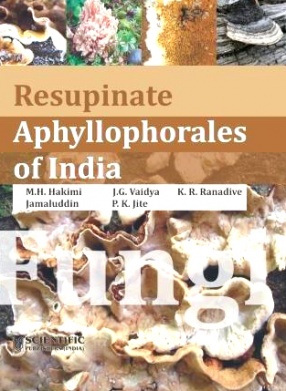 Resupinate Aphyllophorales of India