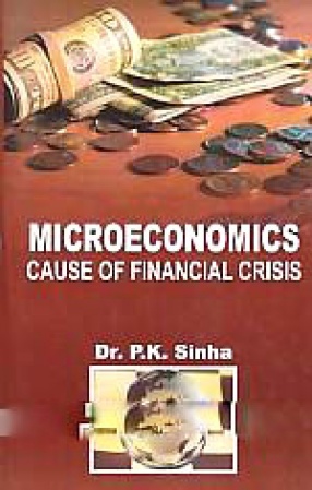 Microeconomics: Cause of Financial Crisis