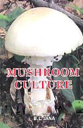 Mushroom Culture