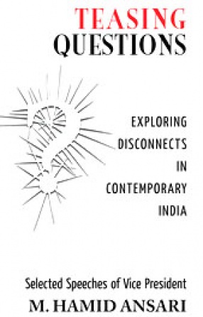Teasing Questions: Exploring Disconnects in Contemporary India