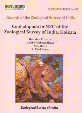 Cephalopoda in NZC of the Zoological Survey of India, Kolkata
