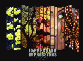 Expression Beyond Impressions: A Journey Through the Lens