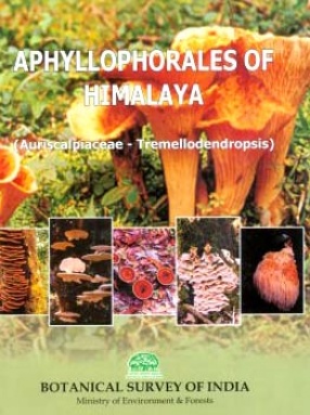 Aphyllophorales of Himalaya: Auriscalpiaceae: Tremellodendropsis