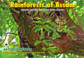 Rainforests of Assam: Dihing Patkai Wildlife Sanctuary