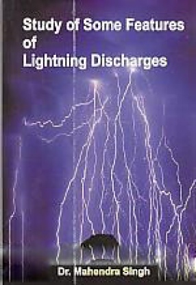 Study of Some Features of Lighting Discharges