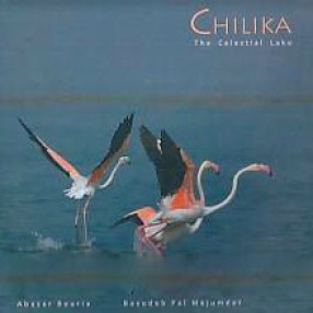 Chilika: The Celestial Lake