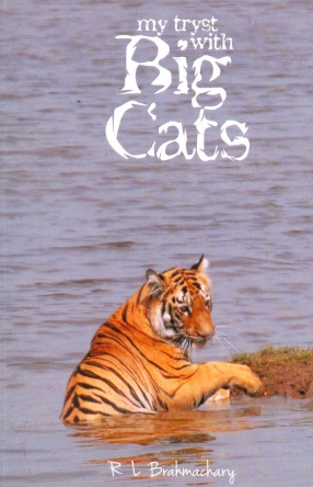 My Tryst With Big Cats