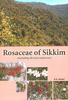 Rosaceae of Sikkim: Including Brachycaulaceae