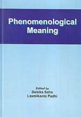 Phenomenological Meaning